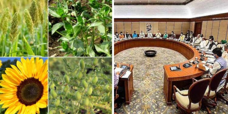 शेतकऱ्यांसाठी खुशखबर…! केंद्राकडून रब्बी पिकांच्या MSP मध्ये वाढ, आता मिळेल इतका भाव