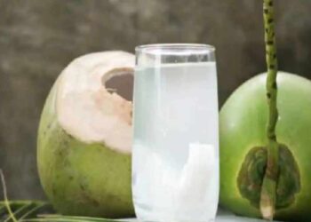 या कारणांमुळे तुम्ही रोज नारळाचे पाणी प्यावे, तुम्हाला हे 5 आश्चर्यकारक फायदे मिळतील