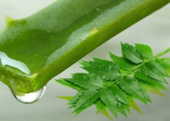 जाणून घ्या कडूनिंब आणि कोरफड वापरण्याचे फायदे