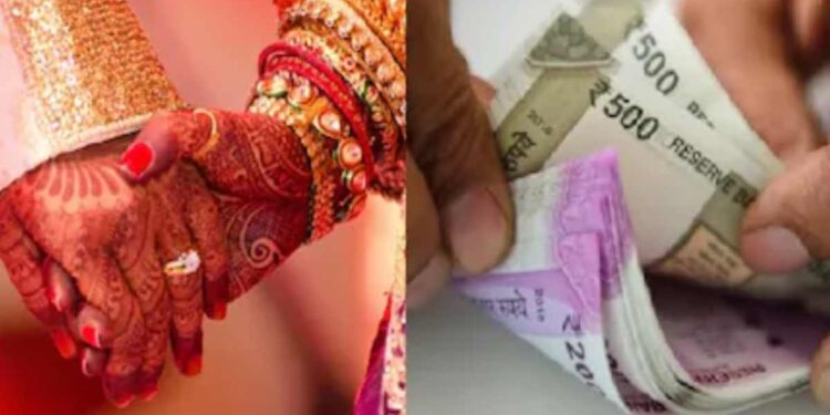 मुलीच्या शिक्षणाची आणि लग्नाची नो चिंता : LIC ची ‘ही’ योजना देईल 27 लाख रुपये