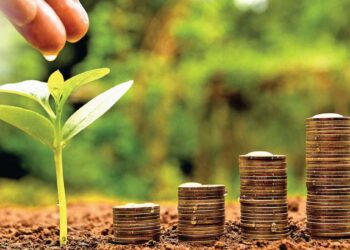 लहान बचतीसह, तुम्ही 15 वर्षात 50 लाखांचा निधी बनवू शकता, मासिक ‘इतकी’ गुंतवणूक करावी लागेल?