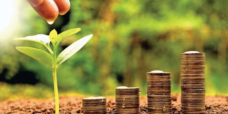 लहान बचतीसह, तुम्ही 15 वर्षात 50 लाखांचा निधी बनवू शकता, मासिक ‘इतकी’ गुंतवणूक करावी लागेल?