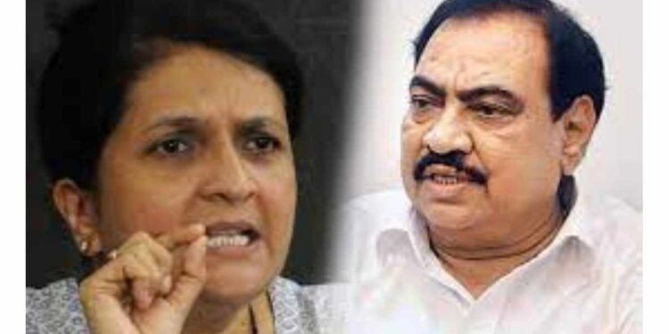 खडसेंवर अंजली दमानियांनी पुन्हा निशाणा साधला; म्हणाले