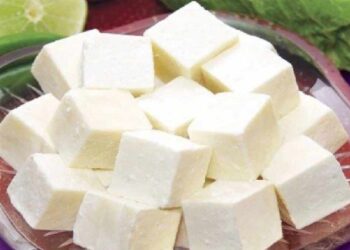 जाणून घ्या अधिक पनीर खाण्याचे ‘हे’ दुष्परिणाम देखील, शरीरावर असा होऊ शकतो परिणाम