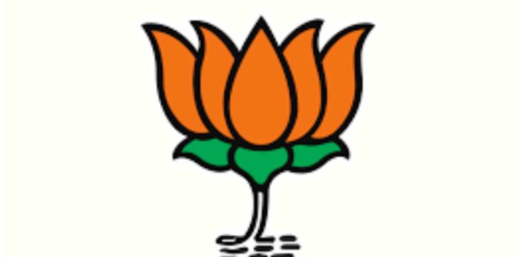 भाजपच्या जामनेर तालुक्याची सोशल मीडिया सेलची कार्यकारिणी जाहीर