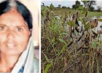 धक्कादायक ! पिकांचे नुकसान आणि भविष्याची चिंतापायी शेतकरी महिलेची आत्महत्या