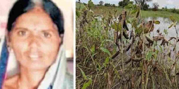 धक्कादायक ! पिकांचे नुकसान आणि भविष्याची चिंतापायी शेतकरी महिलेची आत्महत्या