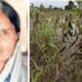 धक्कादायक ! पिकांचे नुकसान आणि भविष्याची चिंतापायी शेतकरी महिलेची आत्महत्या