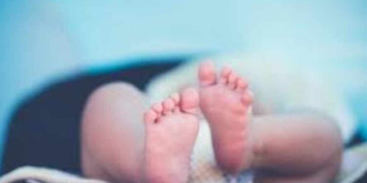 माता न तू वैरीणी; अर्भक सोडून मातेचे पलायन, यावल तालुक्यातील घटना