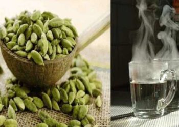 वेलचीचे पाणी पिल्याने मिळतील ‘हे’ आश्चर्यकारक फायदे, जाणून घ्या