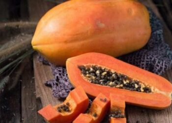 पपई खाण्याचे अनेक फायदे तुम्ही ऐकले असतील, आता त्यांचे दुष्परिणामही जाणून घ्या