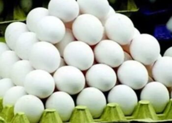 चुकूनही अंड्यांसह ‘या’ 5 गोष्टी खाऊ नका, अन्यथा होईल नुकसान