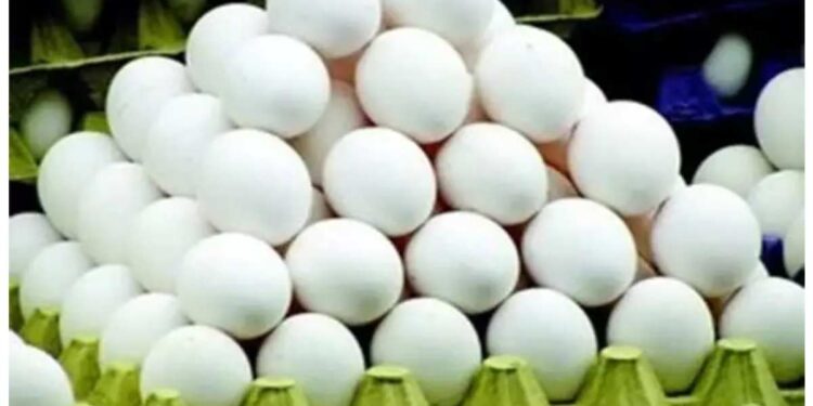 चुकूनही अंड्यांसह ‘या’ 5 गोष्टी खाऊ नका, अन्यथा होईल नुकसान