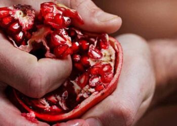 जर तुम्ही मधुमेहाचे रुग्ण असाल तर रोज हे फळ ; रक्तातील साखर नेहमी नियंत्रणात राहील