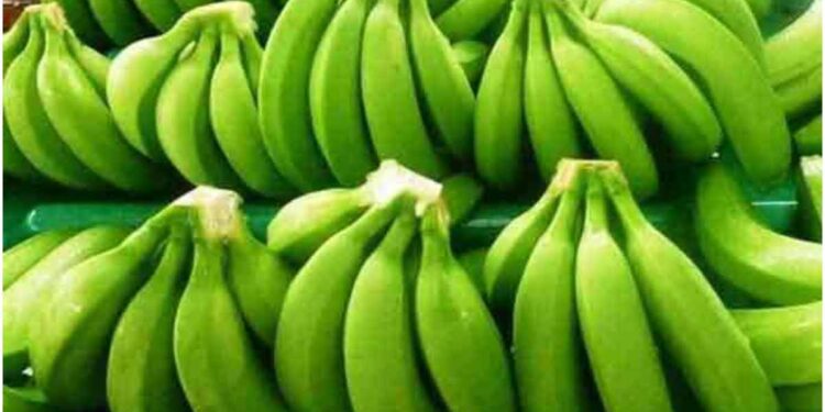कच्च्या केळ्याचे हे फायदे वाचून व्हाल थक्क ! जाणून घ्या काय आहेत?