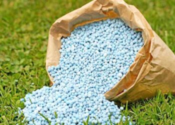 रब्बी हंगामात शेतकऱ्यांना दिलासा ! फॉस्फेट, पोटॅश वर 28,655 कोटी रुपयांचे अतिरिक्त अनुदान