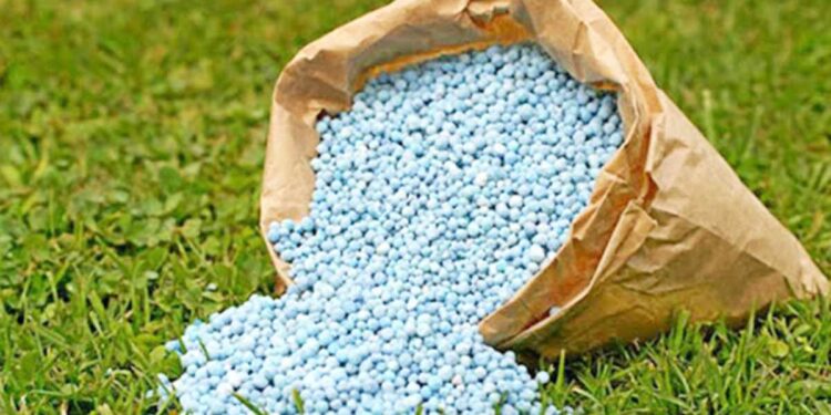 रब्बी हंगामात शेतकऱ्यांना दिलासा ! फॉस्फेट, पोटॅश वर 28,655 कोटी रुपयांचे अतिरिक्त अनुदान