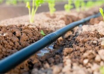 खुशखबर… शेतकऱ्यांना ठिबक व तुषार सिंचनासाठी पूरक अनुदान योजना