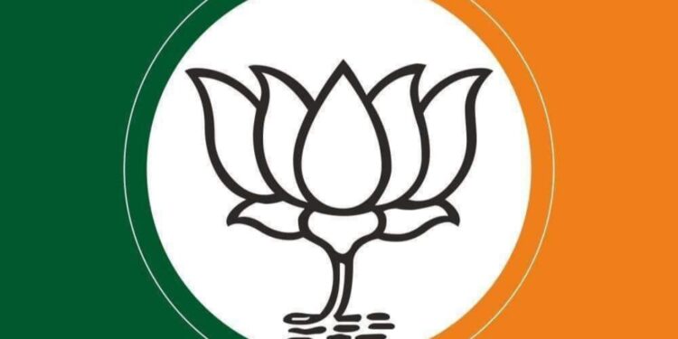 भाजपा राज्यभर ‘या’ कारणासाठी २० हजार सभा घेणार