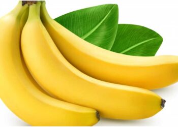 हिवाळ्यात रोज 1 केळी खा, मिळतील ‘हे’ जबरदस्त फायदे