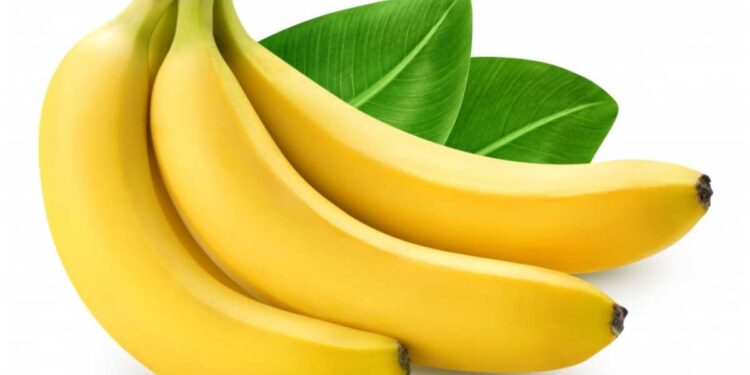 हिवाळ्यात रोज 1 केळी खा, मिळतील ‘हे’ जबरदस्त फायदे