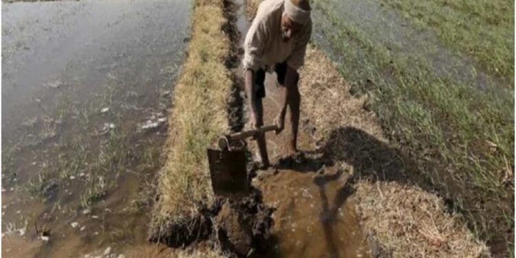 रब्बी हंगामातील पिकांसाठी ‘या’ तारखेपर्यंत पाणी अर्ज सादर करण्याचे आवाहन