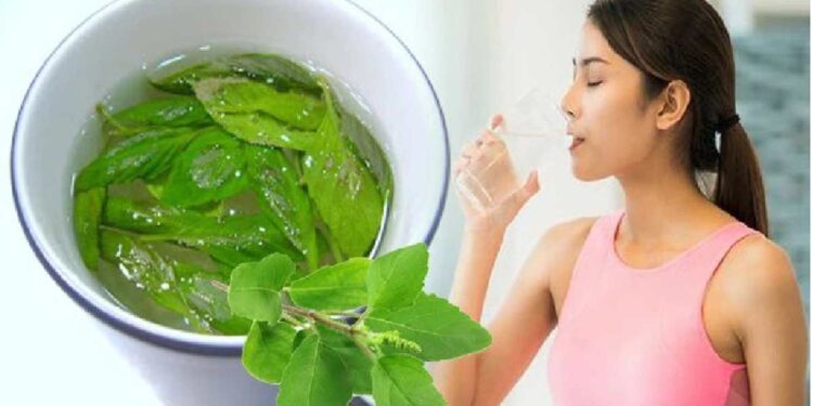 थंडीत ‘ही’ गोष्ट पाण्यात टाकून प्या, अनेक आजार होतील दूर 