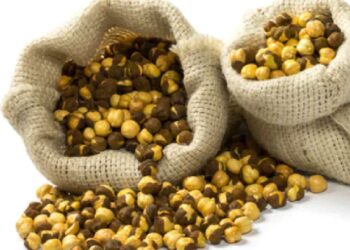 पुरुषांनी दुधासोबत मूठभर भाजलेले हरभरे खावे, मिळतील ‘हे’ जबरदस्त फायदे