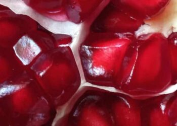 ‘हे’ 5 सुपरफूड शरीराचे खराब झालेले भाग दुरुस्त करतात