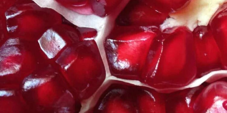 ‘हे’ 5 सुपरफूड शरीराचे खराब झालेले भाग दुरुस्त करतात