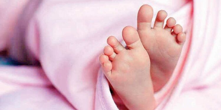 जळगावात मृतावस्थेत अर्भक आढळून आल्याने खळबळ