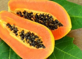 पपई खाण्याचे ‘हे’ आहेत आश्चर्यकारक फायदे