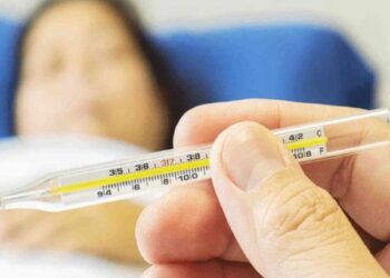 डेंग्यू आणि स्वाइन फ्लूमध्ये आता ‘हा’ आजाराचा धोका, या लक्षणांकडे दुर्लक्ष करू नका