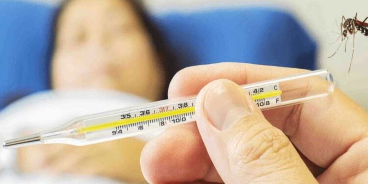 डेंग्यू आणि स्वाइन फ्लूमध्ये आता ‘हा’ आजाराचा धोका, या लक्षणांकडे दुर्लक्ष करू नका