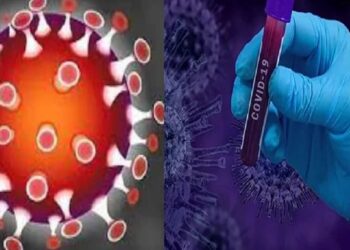 जगाची धाकधूक वाढवणाऱ्या ओमिक्रॉन विषाणूचा पहिला वहिला फोटो पाहिलात का?