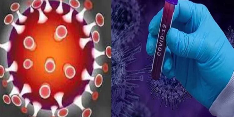 जगाची धाकधूक वाढवणाऱ्या ओमिक्रॉन विषाणूचा पहिला वहिला फोटो पाहिलात का?
