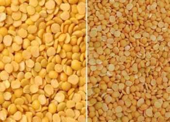 पेट्रोल-डिझेलनंतर डाळींच्या दरात कपात, जाणून घ्या एक किलोची किंमत