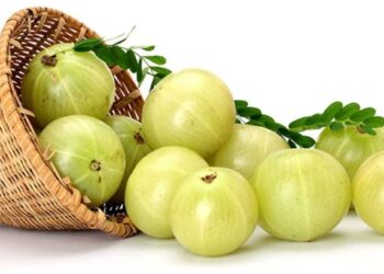 हिवाळ्यात आवळा खाण्याचे ‘हे’ आहेत 6 आश्चर्यकारक फायदे