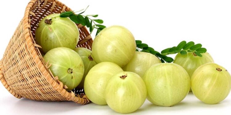 हिवाळ्यात आवळा खाण्याचे ‘हे’ आहेत 6 आश्चर्यकारक फायदे