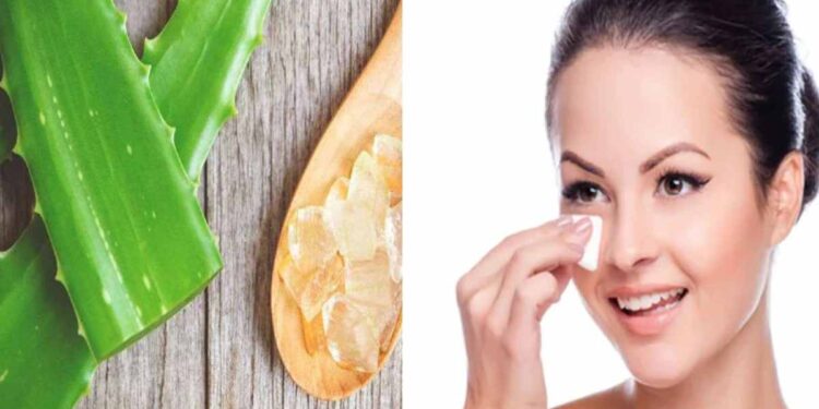 कोरफडीमुळे त्वचेशी संबंधित ‘या’ सर्व समस्या होतील दूर, कसा करायचा वापर?