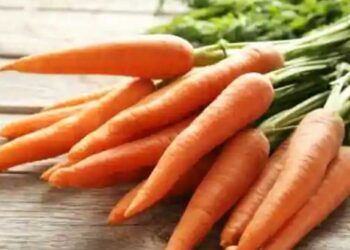 गाजर आरोग्यासाठी खूप फायदेशीर ; हिवाळ्यात खाण्याचे ‘हे’ आहेत जबरदस्त फायदे