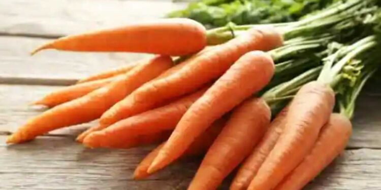 गाजर आरोग्यासाठी खूप फायदेशीर ; हिवाळ्यात खाण्याचे ‘हे’ आहेत जबरदस्त फायदे