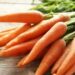 गाजर आरोग्यासाठी खूप फायदेशीर ; हिवाळ्यात खाण्याचे ‘हे’ आहेत जबरदस्त फायदे