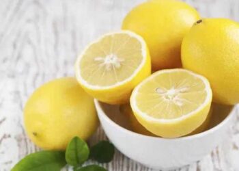 रोज फक्त 1 लिंबू खाल्ल्याने तुम्हाला मिळतील 5 आश्चर्यकारक फायदे