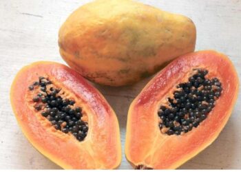 ‘या’ लोकांनी विसरूनही पपई खाऊ नये, जाणून घ्या साइड इफेक्ट्स