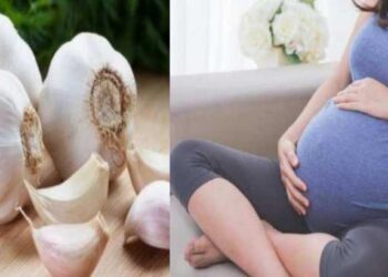 लसणाच्या अतिसेवनाने गर्भवती महिलांना हानी पोहोचू शकते, जाणून घ्या त्याचे दुष्परिणाम