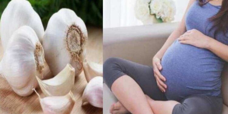 लसणाच्या अतिसेवनाने गर्भवती महिलांना हानी पोहोचू शकते, जाणून घ्या त्याचे दुष्परिणाम