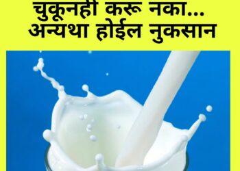 दुधासोबत ‘या’ गोष्टींचे सेवन चुकूनही करू नका… अन्यथा होईल नुकसान
