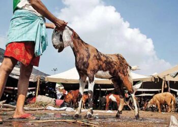 अरे बापरे.. दारूच्या नशेत बकऱ्याऐवजी पकडलेल्या व्यक्तीची कापली मान