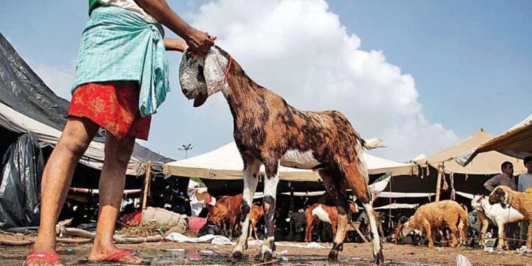 अरे बापरे.. दारूच्या नशेत बकऱ्याऐवजी पकडलेल्या व्यक्तीची कापली मान